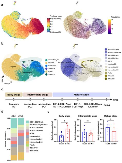Knockdown of TIM3 Hampers Dendritic Cell Maturation and Induces Immune ...