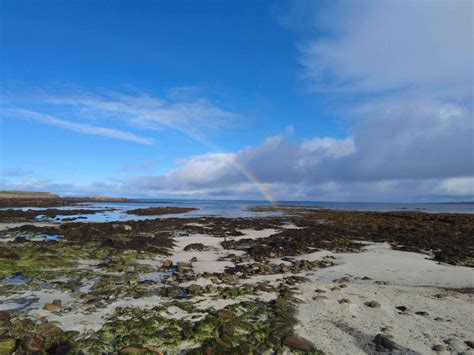 Ian Scott ~ A Letter From North Ronaldsay