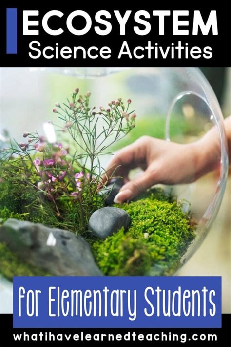 Ecosystem Project 的图像结果