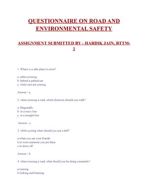 Questionnaire on Environment and Road Safety - Questionnaire on ...