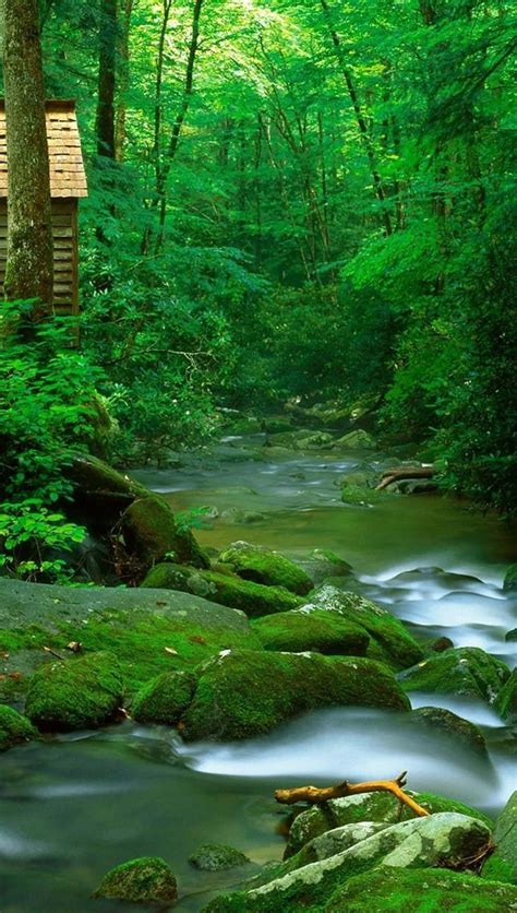 [3400+] Natur-Wallpaper KOSTENLOS | Wallpapers.com