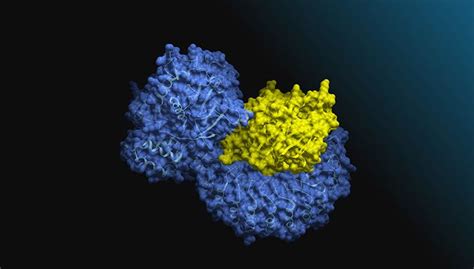 Explore Biology Models | Try NVIDIA NIM APIs