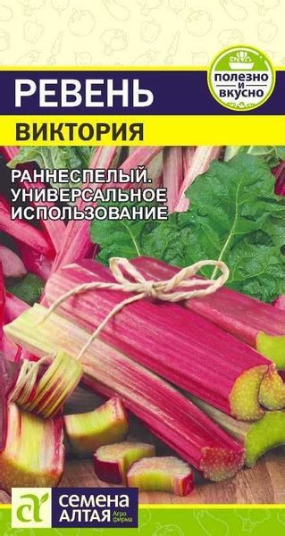 Ревень Семена Алтая Ревень - купить по выгодным ценам в интернет ...
