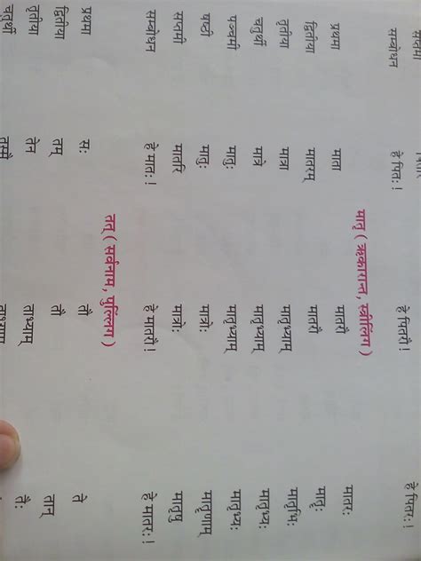 in Sab ke shabd Roop Bataye- Balak ,Balika ,Mati ,Pat ,wari ,Sadhu, tat ...