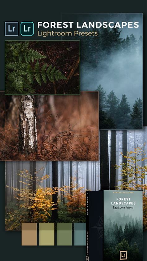 Lightroom presets for moody forest landscapes – Artofit