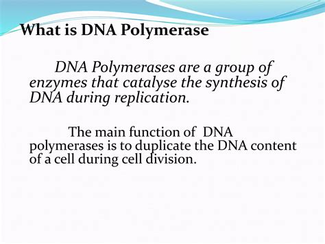 DNA Polymerase.pptx