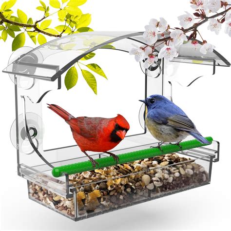 Amazon.com : Fabulas Window Bird Feeder, Strong Suction Cups Window ...