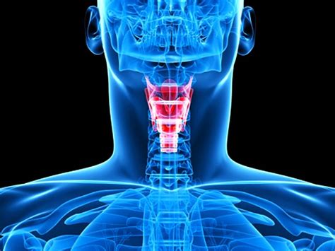 Neck Design Cutting 的图像结果