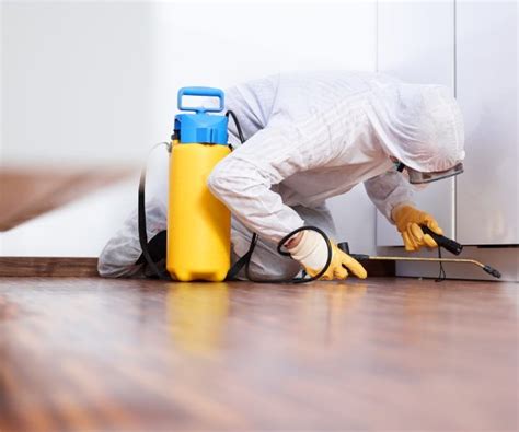 DYNAMIC PEST & RODENT CONTROL