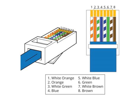 Image result for How to Create LAN Cable
