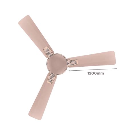 Buy Crompton Premion Aura2 Designer 1 Star 1200mm 3 Blade Copper Motor ...