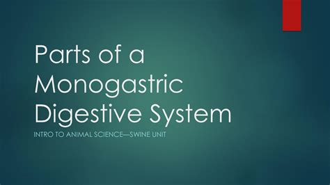 Monogastric Digestive System Order at Lauren Blackwell blog