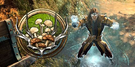 Best Circle Of Spores Druid Build In BG3