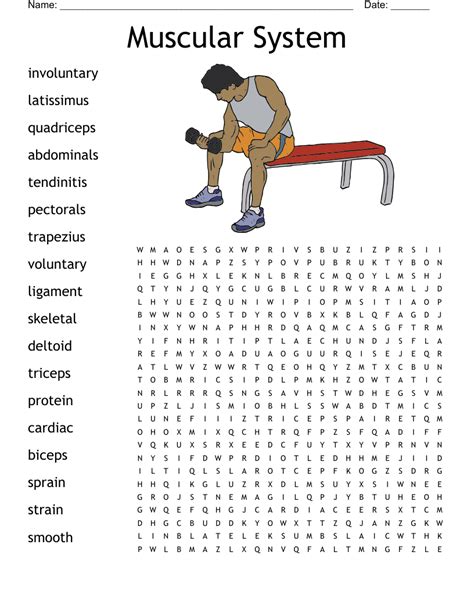 Image result for Muscle Word Search Printable
