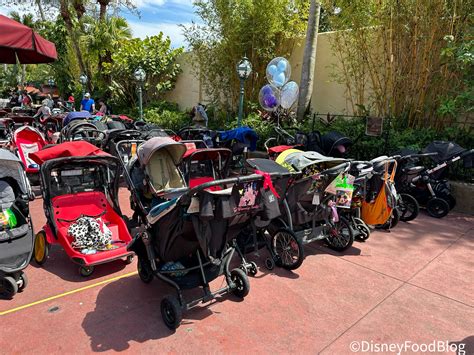 Magic Kingdom's 5 Most Unexpected Rules | the disney food blog