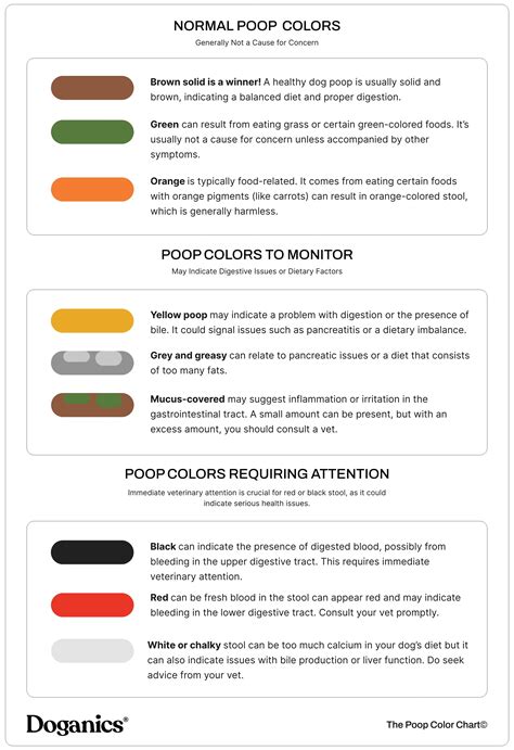 The Scoop on Poop: Understanding Your Dog's Stool Health - Doganics®