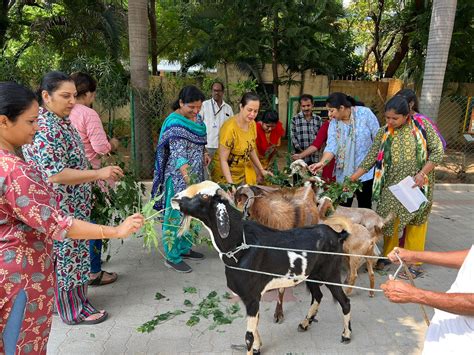 Academic Year 2022 – 2023 | SVIS HYD