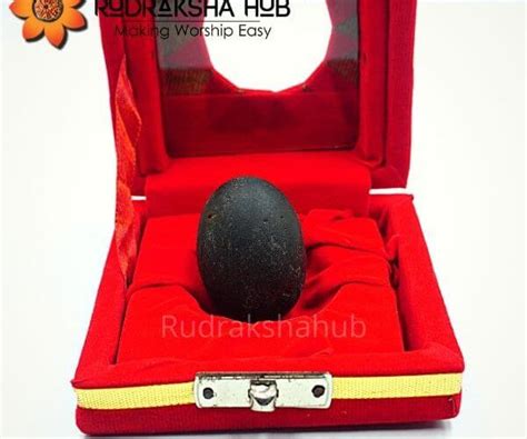Shaligram – Rudraksha Hub