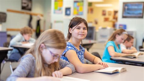 Middle School Students Studying In Class