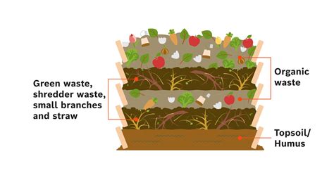Compost – everything you need to know about the elixir of the gardening ...