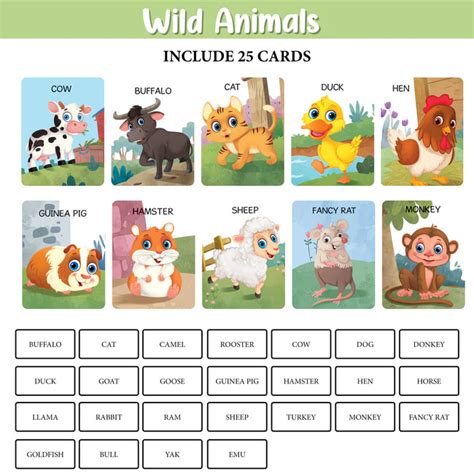 My First 100 Illustrated Flashcards: Animals - Explore The Animal King