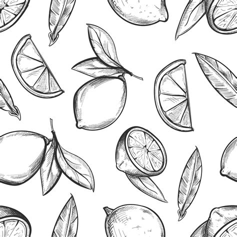 Lemon seamless pattern hand drawn citrus fruit | Premium Vector