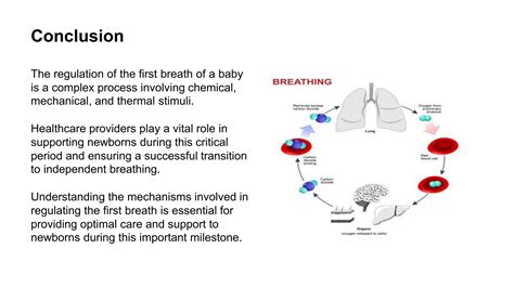 RITANSHU SONEKAR REGULATION OF FIRST BREATHING OF BABY.pptx