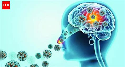 19 dead this year: 'Brain-eating' amoeba sparks political slugfest in ...