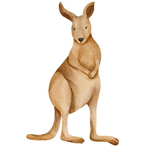 Clip Art Kangaroo