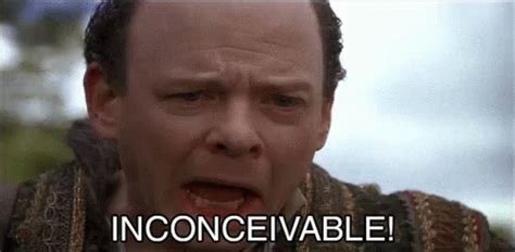 Image result for Princess Bride Movie Inconceivable