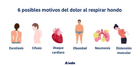 Síntomas De Dolor De Espalda Media Los Tres Dolores De Espalda Más