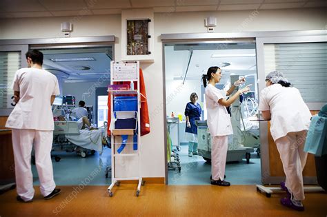 Intensive 的图像结果