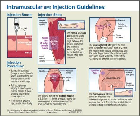 Image result for Injection Sites