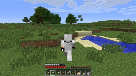 F5 Mode in Java Minecraft 的图像结果