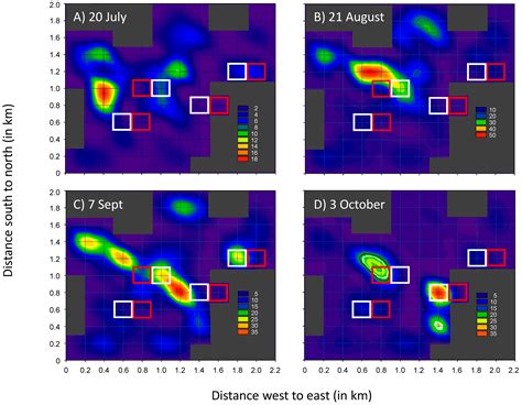 Development of a Mating Disruption Program for a Mealybug, Planococcus ...