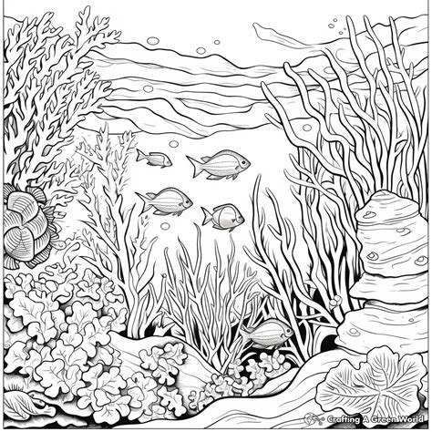 Ocean Coloring Sheets