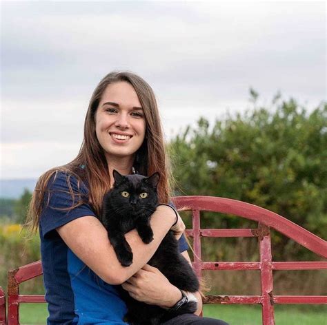 Wrentham Animal Hospital | Wrentham MA Vet