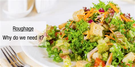 ROUGHAGE- WHY DO WE NEED IT? - Inveda