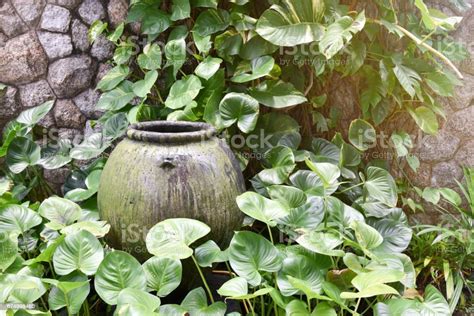 Image result for Overflow Pot