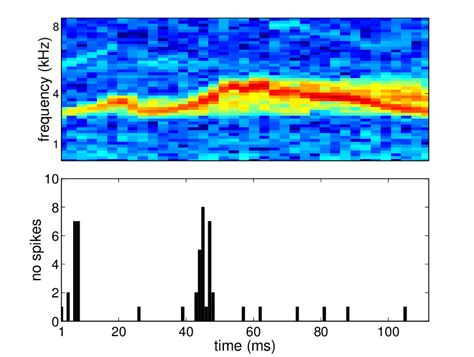 Post-Stimulus Time Histogram 的图像结果