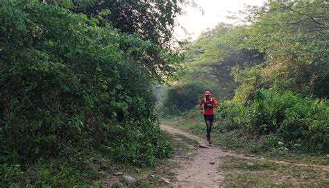 Top Training Spots in NCR for Trail Races