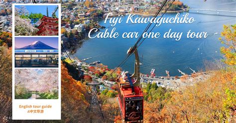 One-day cherry blossom viewing tour for Mt. Fuji internet celebrities ...