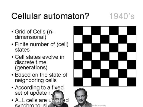 Image result for Cellular Automata Grid Image