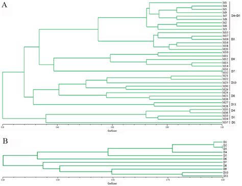 Development of Novel Polymorphic EST-SSR Markers in Bailinggu ...