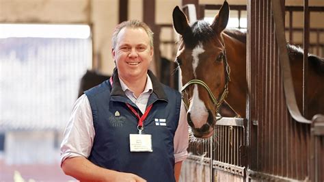 How to help your horse recover from stomach ulcers - Kelato Animal Health