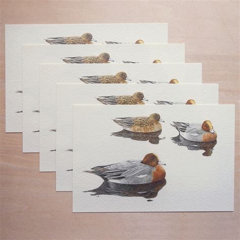 ヒドリガモ ｜ ポストカード 5枚組 | muto fumiaki artwork