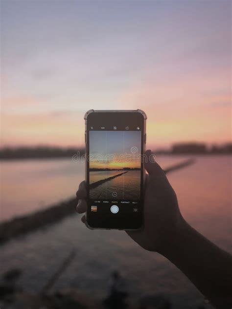 Nature Portrait 的图像结果