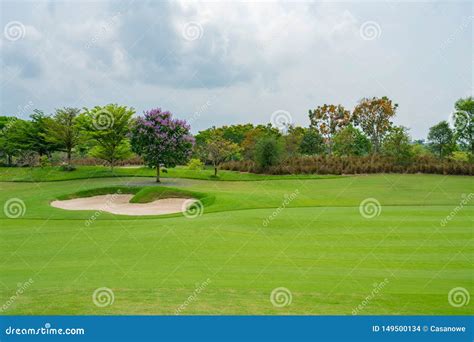 Golf Court 的图像结果