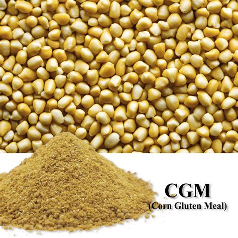 CGM (Corn Gluten Meal) – New MT Century Sdn Bhd