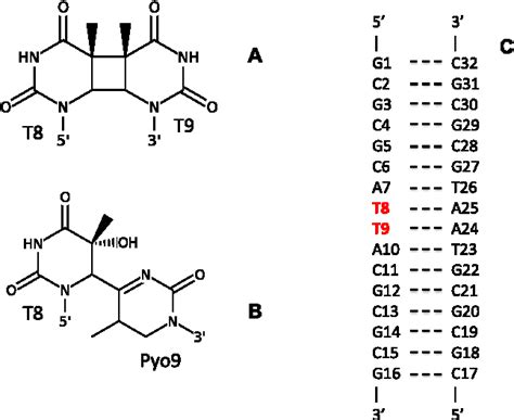 Image result for Conformational Polymorphism